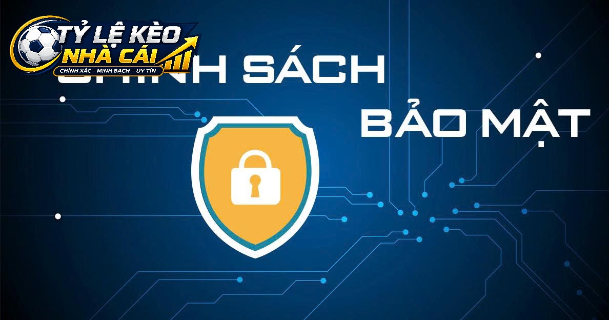 Chính Sách Cookie Và Các Tiêu Chuẩn Bảo Mật Dữ Liệu Người Dùng